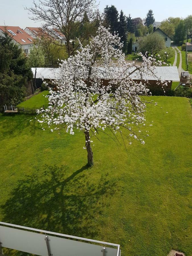 Apartment Near Frankfurt, Fantastic View! Usingen ภายนอก รูปภาพ